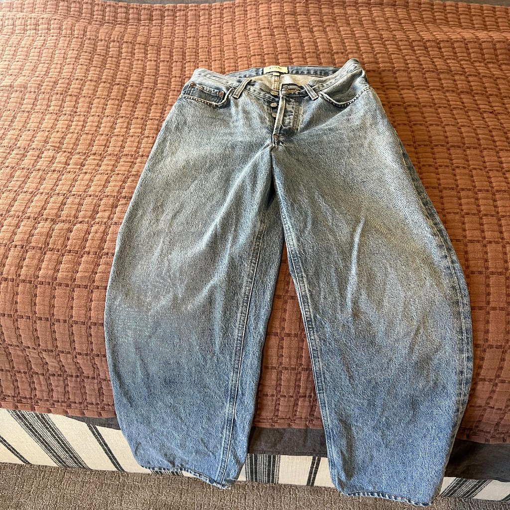 Agolde V-Waist Baggy Jean Size 27